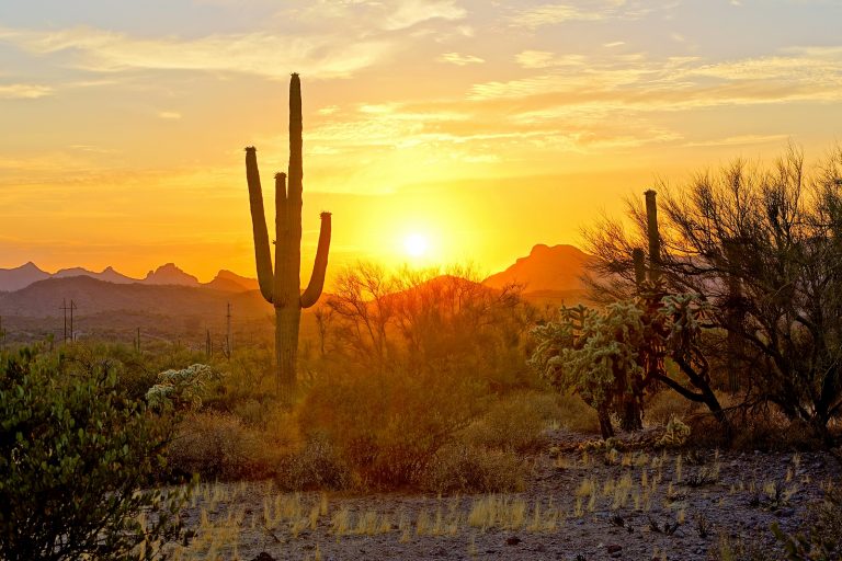 A picture of the sunset in the Arizona wilderness.